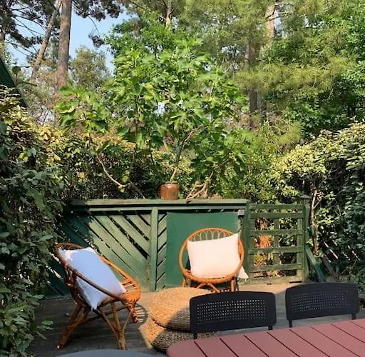 Claouey, Bassin Cap Ferret Claouey