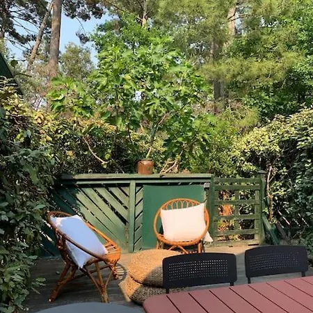 Claouey, Bassin Cap Ferret Claouey