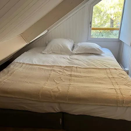 Claouey, Bassin Cap Ferret Apartamento